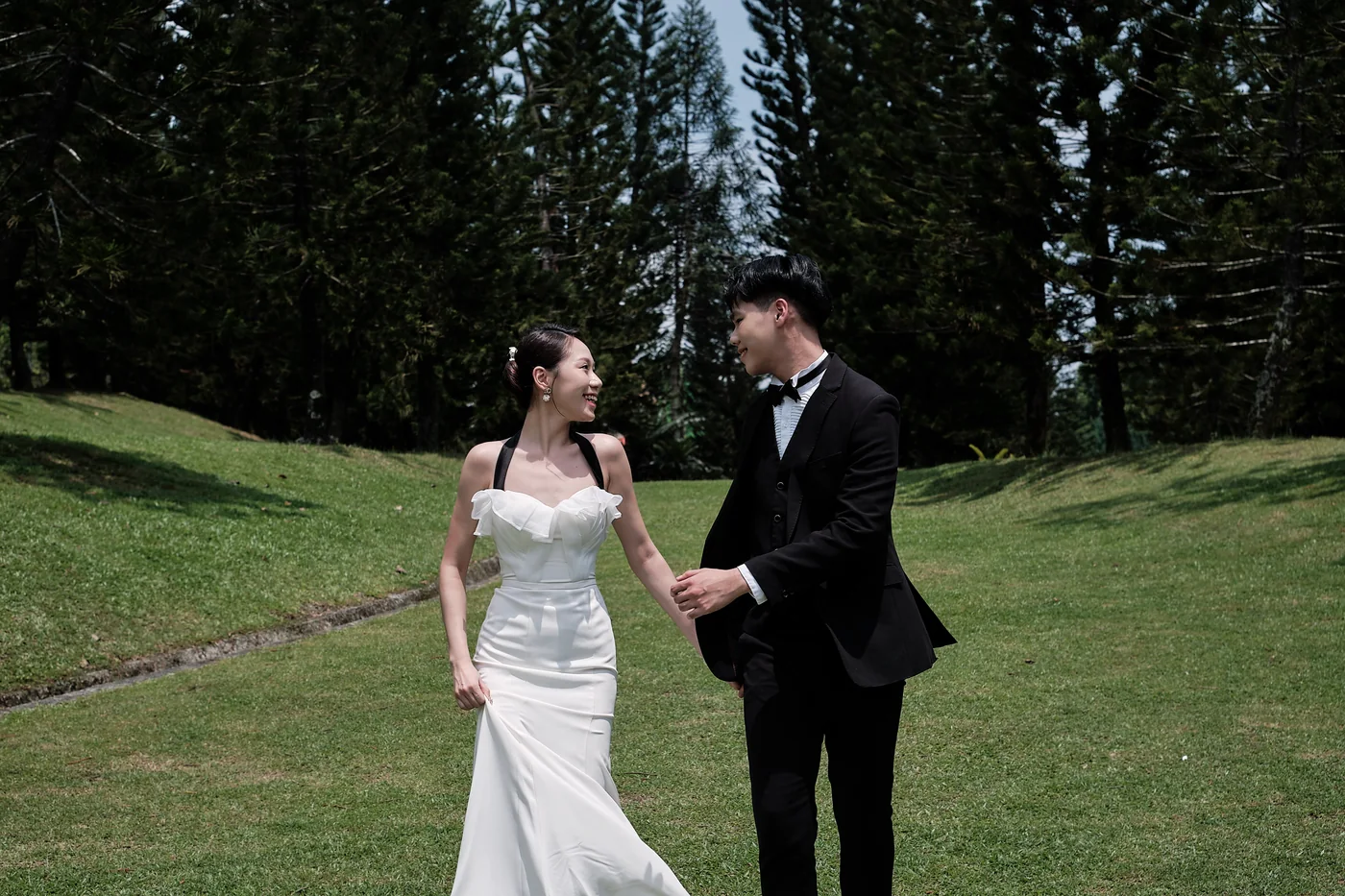 Pre-wedding shoot: a couple in a gown and a tuxedo walk hand in hand across a lawn below tall pines